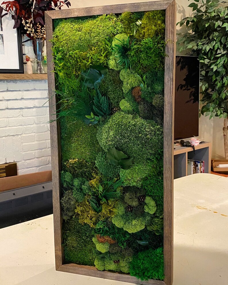 Moss Wall Art Wood frame Moss Art Work Moss Art Preserved Etsy