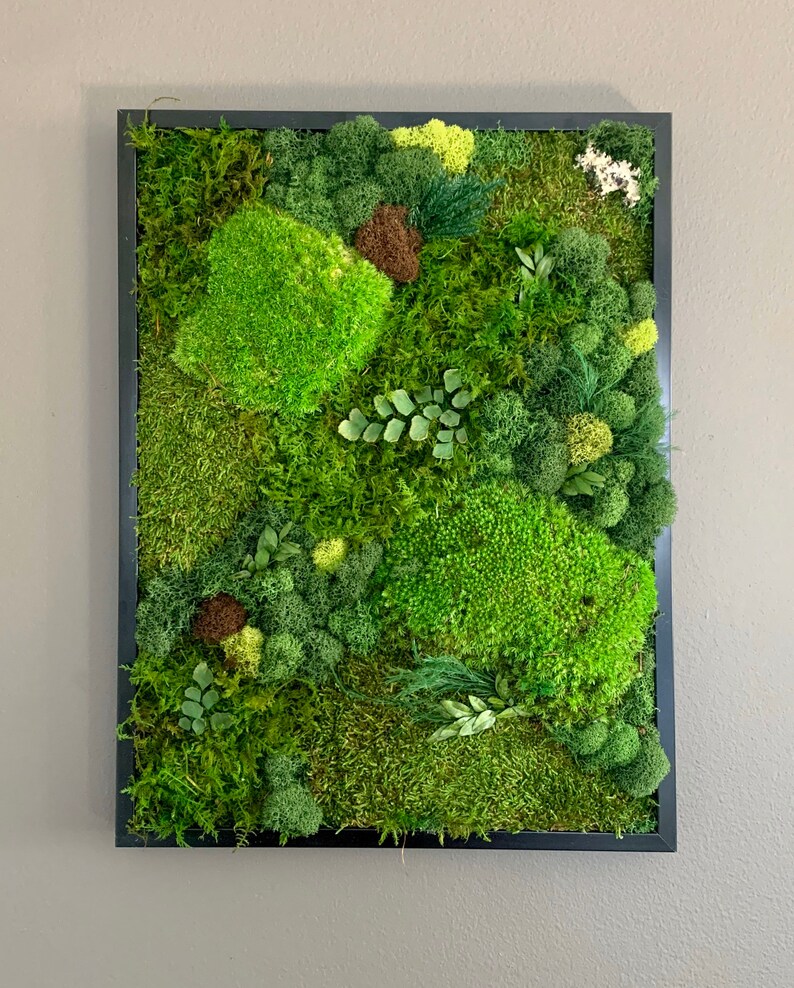 Moss Wall Art Moss Art Work Moss Art Preserved Moss Art Etsy