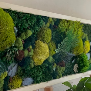May include: A rectangular wall art piece featuring a variety of preserved mosses and foliage in shades of green, yellow, and brown. The artwork is framed in a light-colored wooden frame, creating a natural and textured aesthetic. The arrangement includes different textures and shapes.