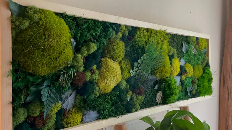 May include: A rectangular wall art piece featuring a variety of preserved mosses and foliage in shades of green, yellow, and brown. The artwork is framed in a light-colored wooden frame, creating a natural and textured aesthetic. The arrangement includes different textures and shapes.