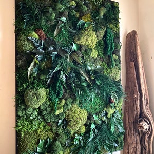 Lavish Moss Wall Art, Moss Art Work, Moss Art, Preserved Moss Art. Living Wall. Large home decor. image 8