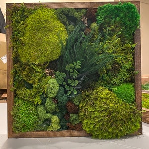 12x16 Moss Art Work, Moss Art, Preserved Moss Art. Home decor. image 8