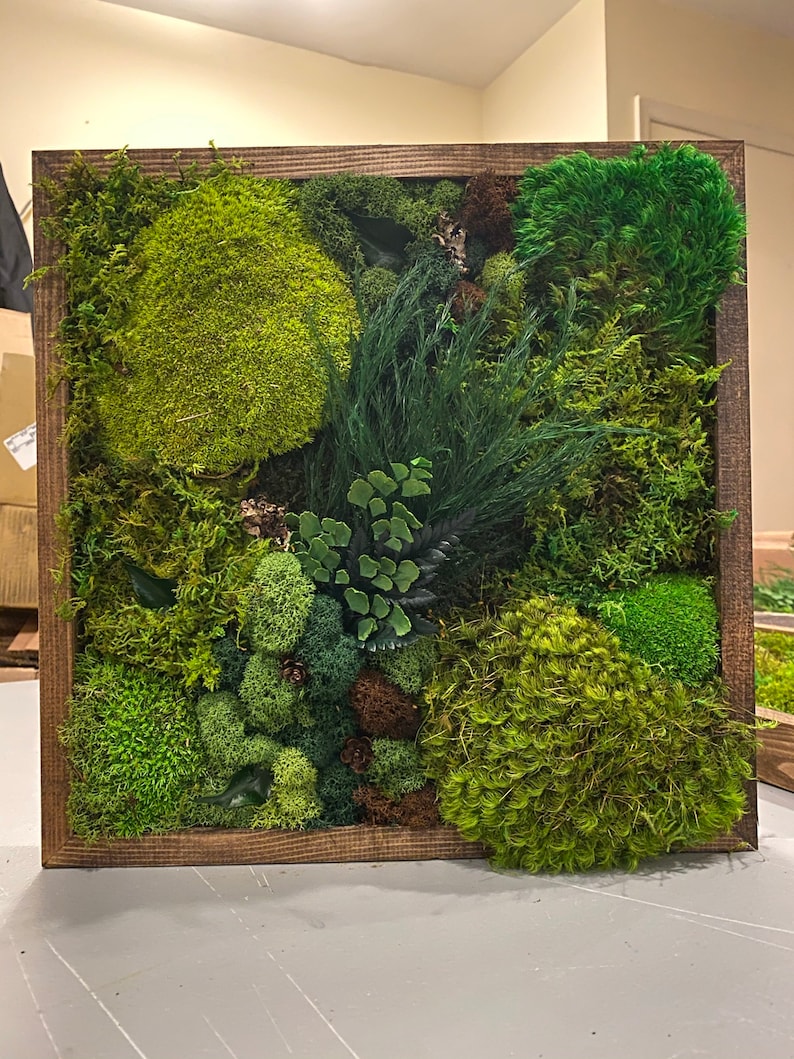 12x16 Moss Art Work, Moss Art, Preserved Moss Art. Home decor. image 8