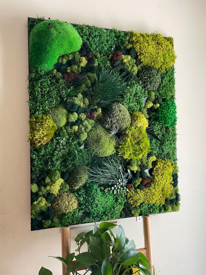 Moss Wall Art Moss Art Work Moss Art Preserved Moss Art Etsy