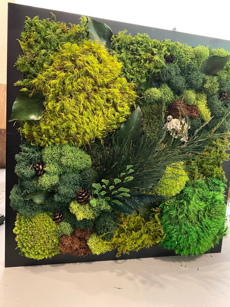 12x16 Moss Art Work Moss Art Preserved Moss Art. Home Etsy