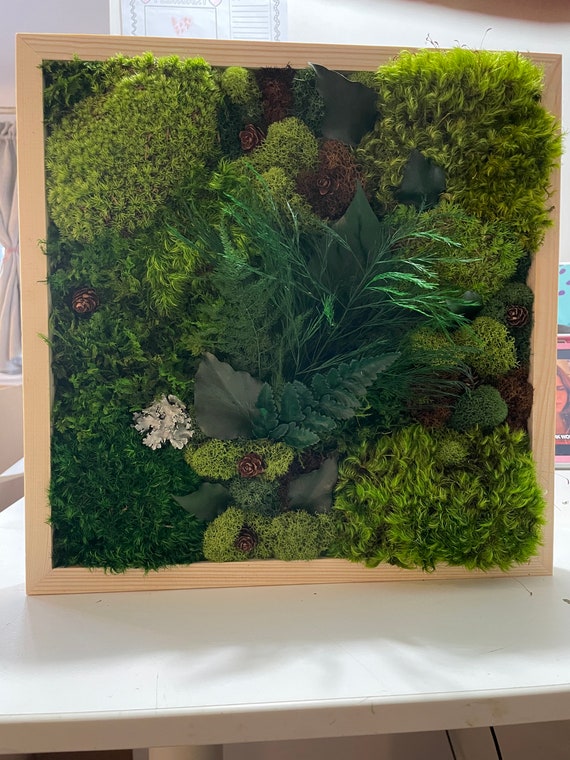 How to Make DIY Moss Art to Bring in Lush Greenery
