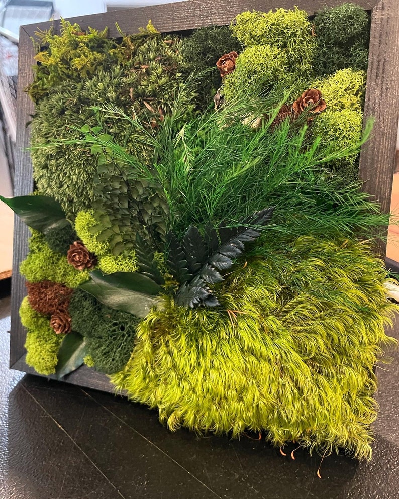 12x16 Moss Art Work, Moss Art, Preserved Moss Art. Home decor. image 6