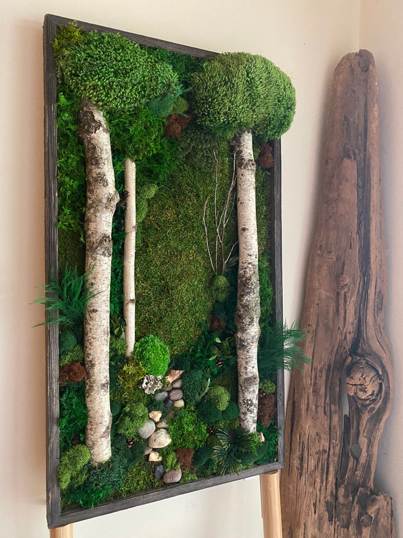 Moss Wall Art. 26x14. Preserved Moss Art. Birch Etsy