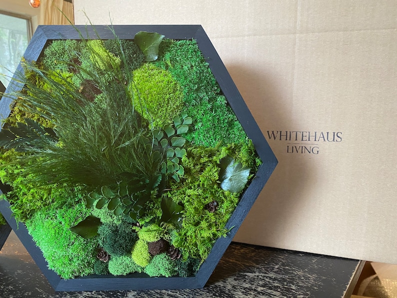 Moss Art. Hexagon. Moss Wall Art. Collage Art. Wall Collage. Moss Art. Gifts image 7