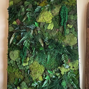 Lavish Moss Wall Art, Moss Art Work, Moss Art, Preserved Moss Art. Living Wall. Large home decor. image 9