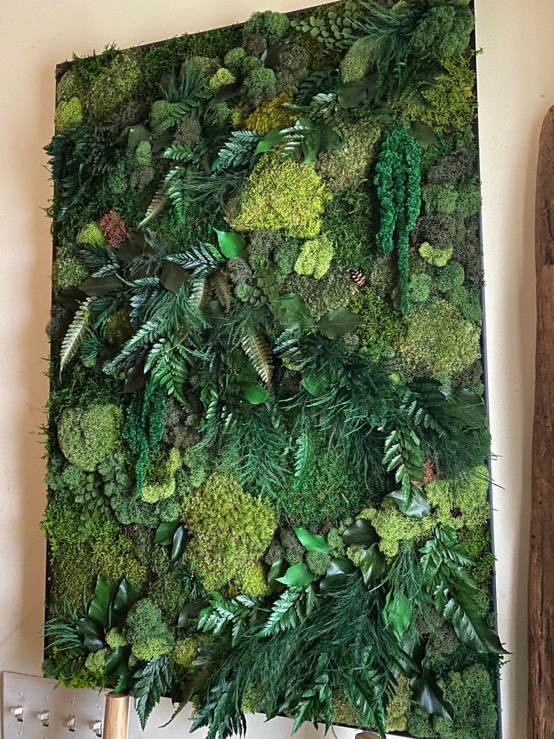 Lavish Moss Wall Art, Moss Art Work, Moss Art, Preserved Moss Art. Living Wall. Large home decor. image 9