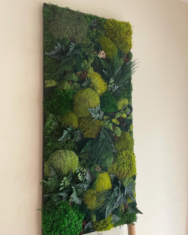 Moss Wall Art Moss Art Work Moss Art Preserved Moss Art Etsy