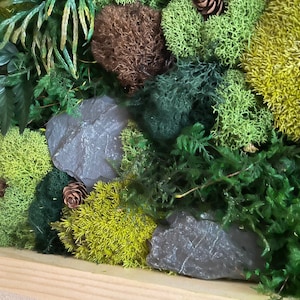 May include: A close-up of a natural moss and plant arrangement. The image features various shades of green moss, ferns, and small pinecones, with a few gray stones. The arrangement is set in a wooden frame, creating a textured, natural aesthetic.