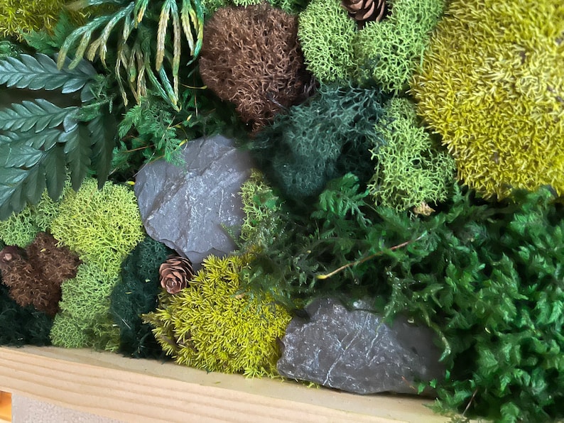 May include: A close-up of a natural moss and plant arrangement. The image features various shades of green moss, ferns, and small pinecones, with a few gray stones. The arrangement is set in a wooden frame, creating a textured, natural aesthetic.