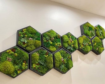 Moss Art. Hexagon. Moss Wall Art. Collage Art. Wall Collage. Moss Art. Gifts