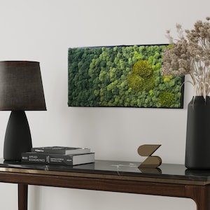 Ombré Moss Wall Art: Modern Preserved Moss Artwork