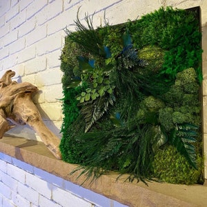 Lavish Moss Wall Art, Moss Art Work, Moss Art, Preserved Moss Art. Living Wall. Large home decor.