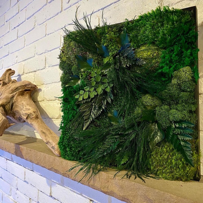Lavish Moss Wall Art, Moss Art Work, Moss Art, Preserved Moss Art. Living Wall. Large home decor. 12x12 inches
