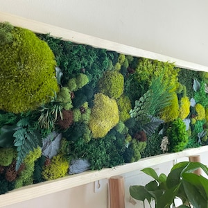 May include: A rectangular wall art piece featuring a vibrant arrangement of preserved moss and various plants in shades of green, brown, and yellow. The artwork is encased in a light-colored wooden frame, creating a natural and textured aesthetic. The moss art adds a touch of nature to any interior space.