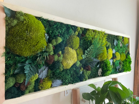 Preserved Moss Art Frame | Slate Rocks, Ferns | No Maintenance Biophilic Decor