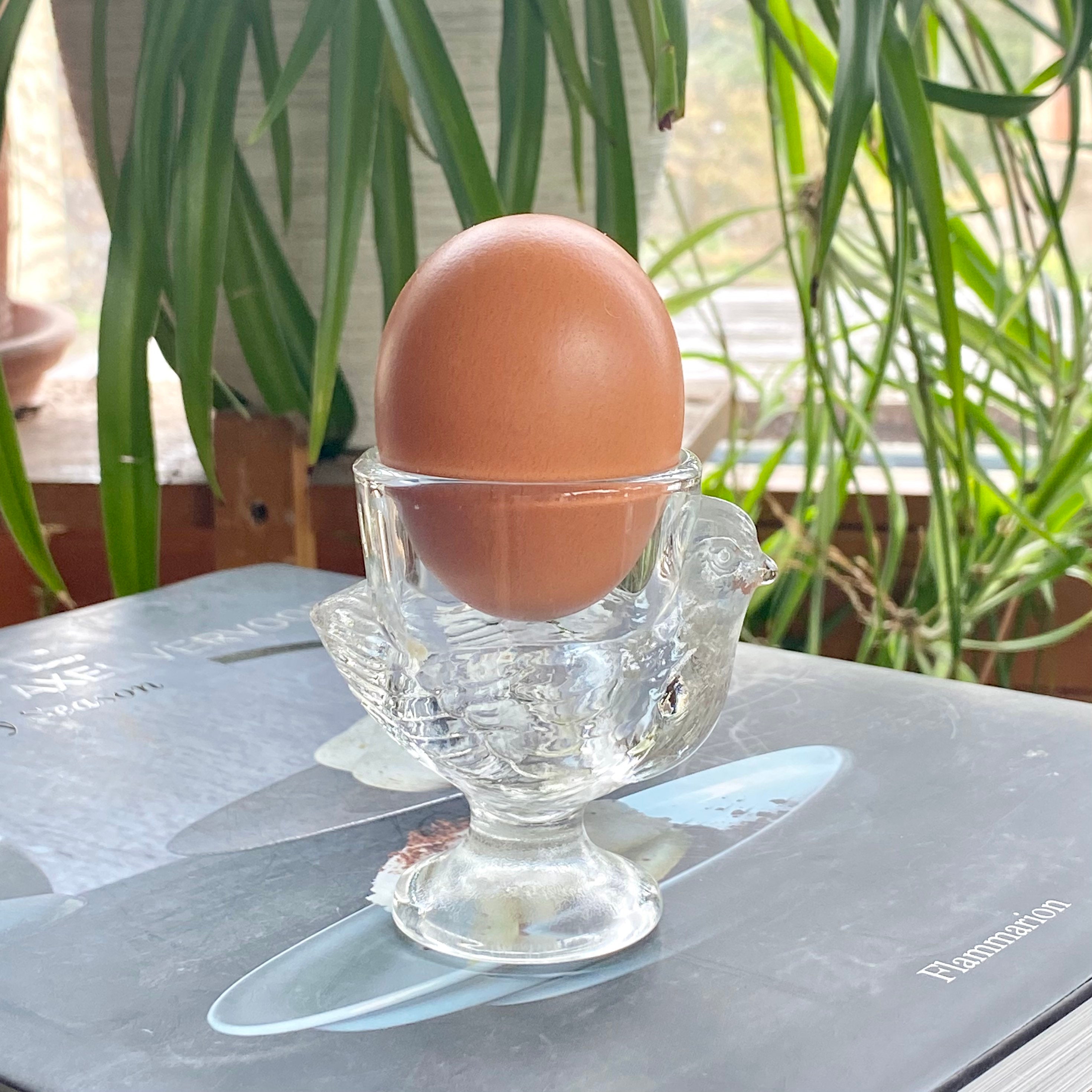 Egg cup egg holder Bird glass egg stand with bird decor Etsy
