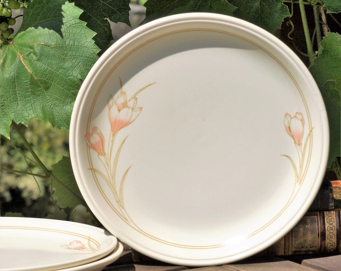 Biltons England 3 Dinner Plate Set, Biltons Coloroll Spring Bouquet