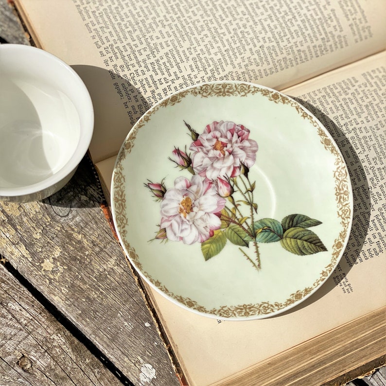 Tea Cup and Saucer the Leonardo Collection. Roses Flowers Etsy