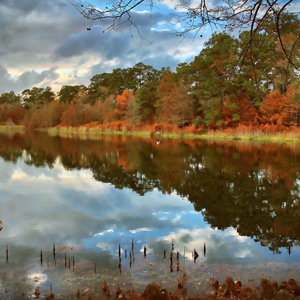 Lake scene fall colors gift nature lover Conroe Texas Houston trees reflection - gift fine art wall hanging photograph Valentine's Day