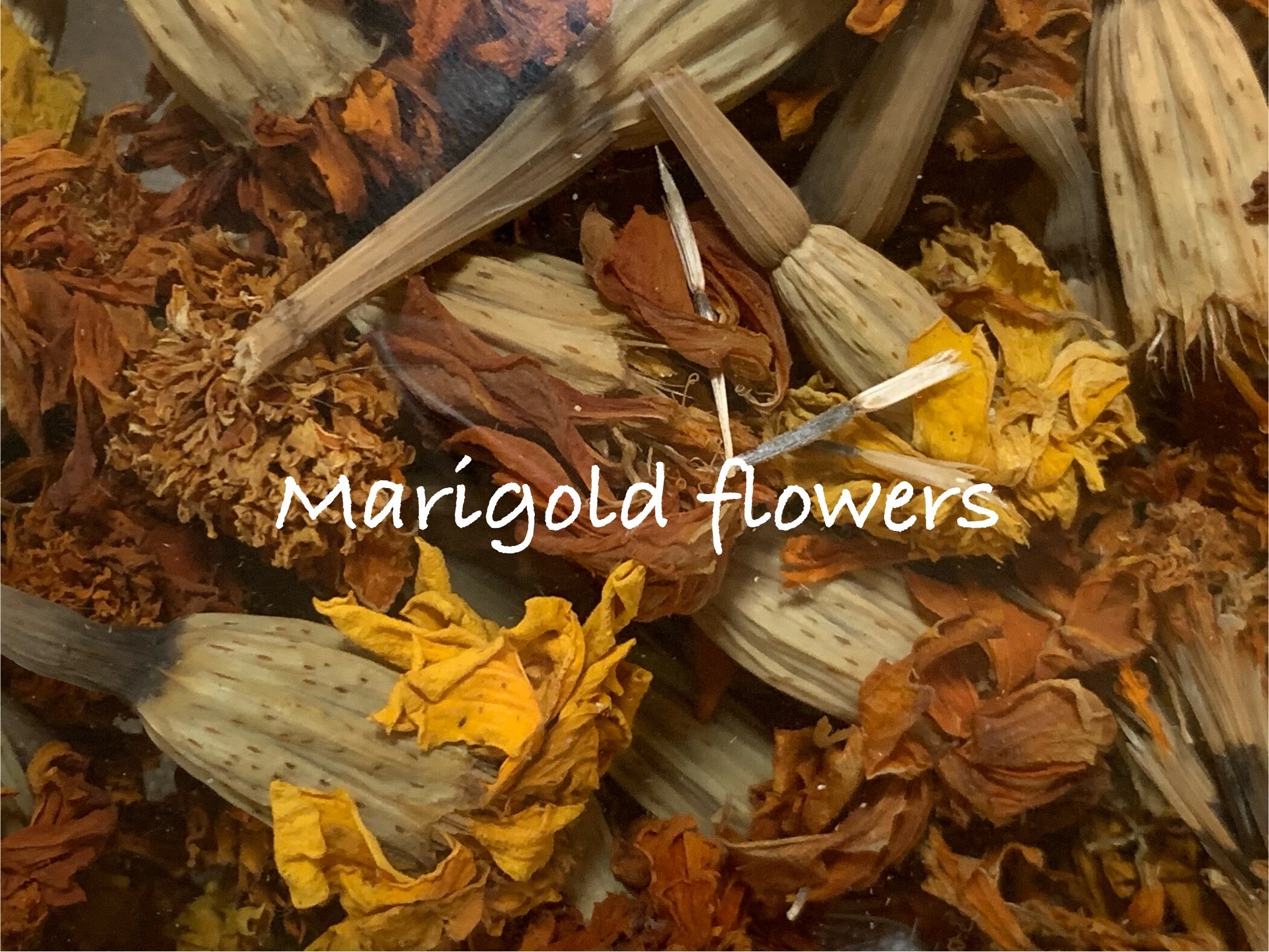 Small Batch Dried Flowers and Herbs Etsy Australia