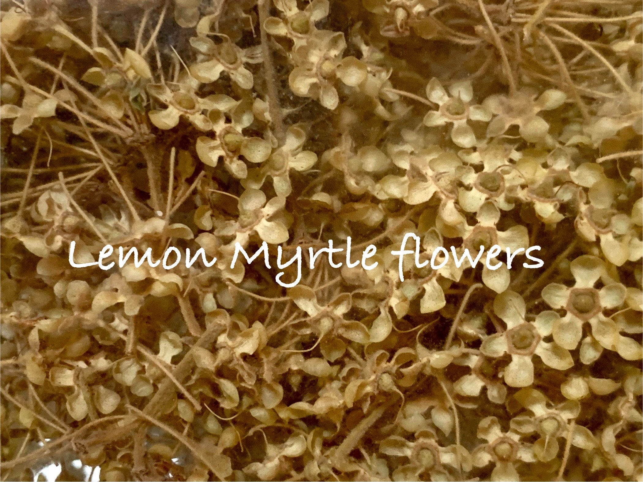 Small Batch Dried Flowers and Herbs Etsy Australia