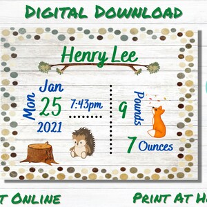 Woodland Printable Baby Stat Download, Baby Birth Stat Wall Art, Baby Birth Stats Sign, Birth Announcement, Baby Wall Art, New Baby Gift