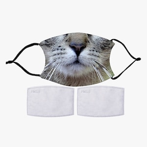 May include: A gray and brown cat face mask with black elastic ear loops. The mask features a close-up of a cat's nose and whiskers. Two white PM2.5 filters are included.