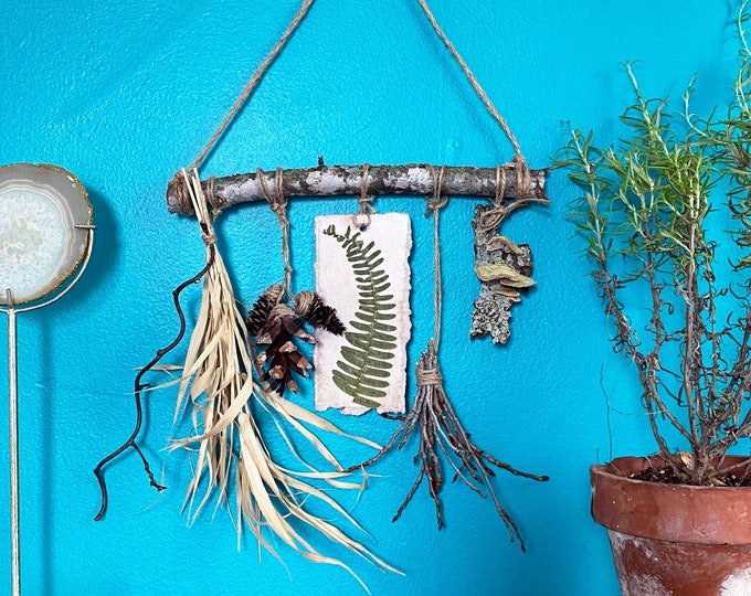 Rustic Cottage Natural Wall Decor Gift, Pressed Fern, Foraged Fungi & Dried Botanicals. Spirit of the Forest for a Nature Lover