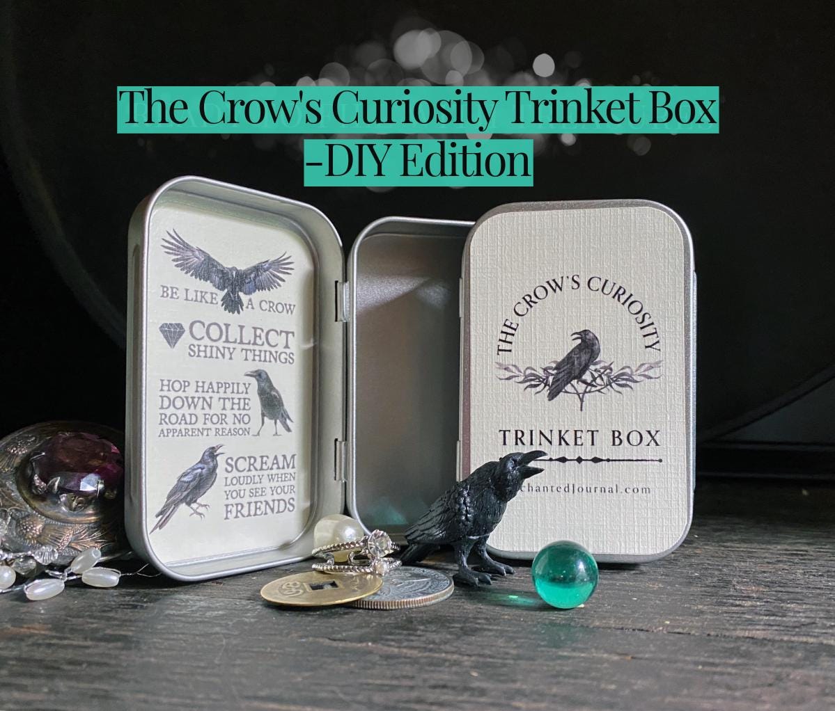 The Crow's Curiosity Trinket Box - DIY Edition for little collectors, treasure seekers, and nature explorers!