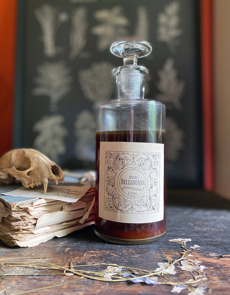Practical Magic Apothecary Label Collection, A printable download for DIY potion bottles and jars. Witchy Vintage Decor labels for belladonna