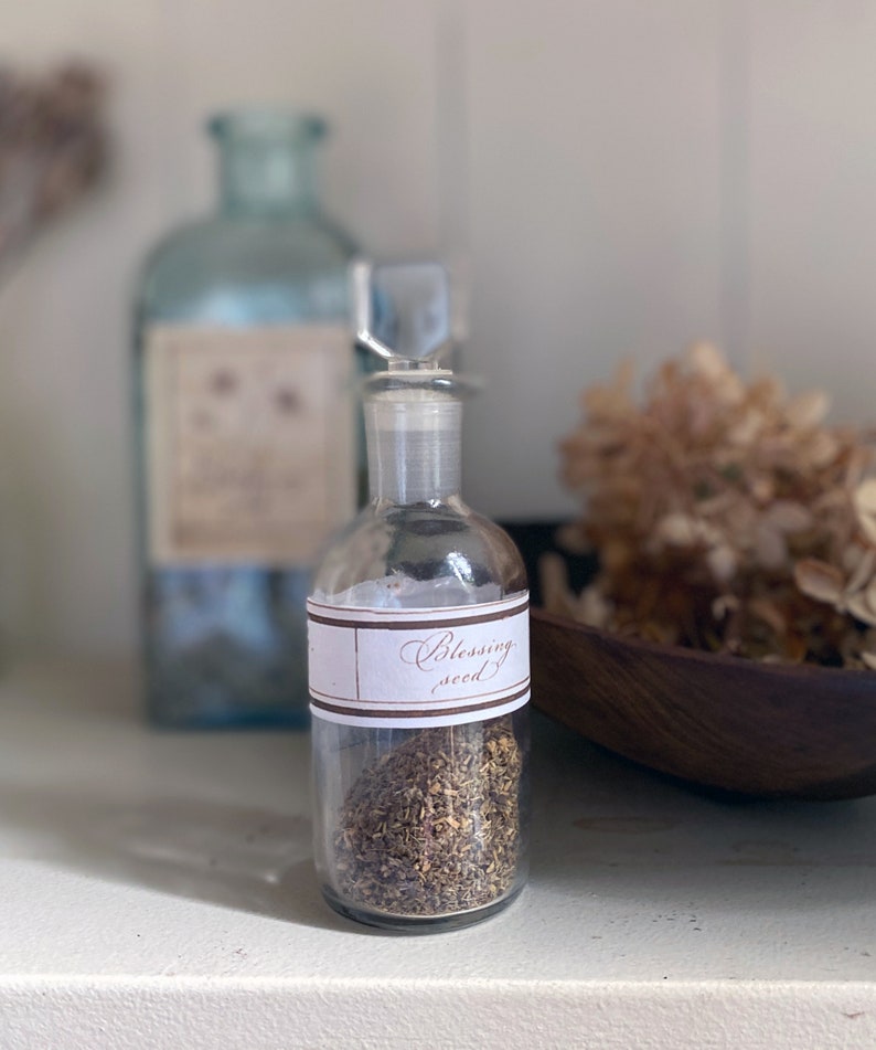 Practical Magic Apothecary Label Collection, A printable download for DIY potion bottles and jars. Witchy Vintage Decor labels for  blessing seed