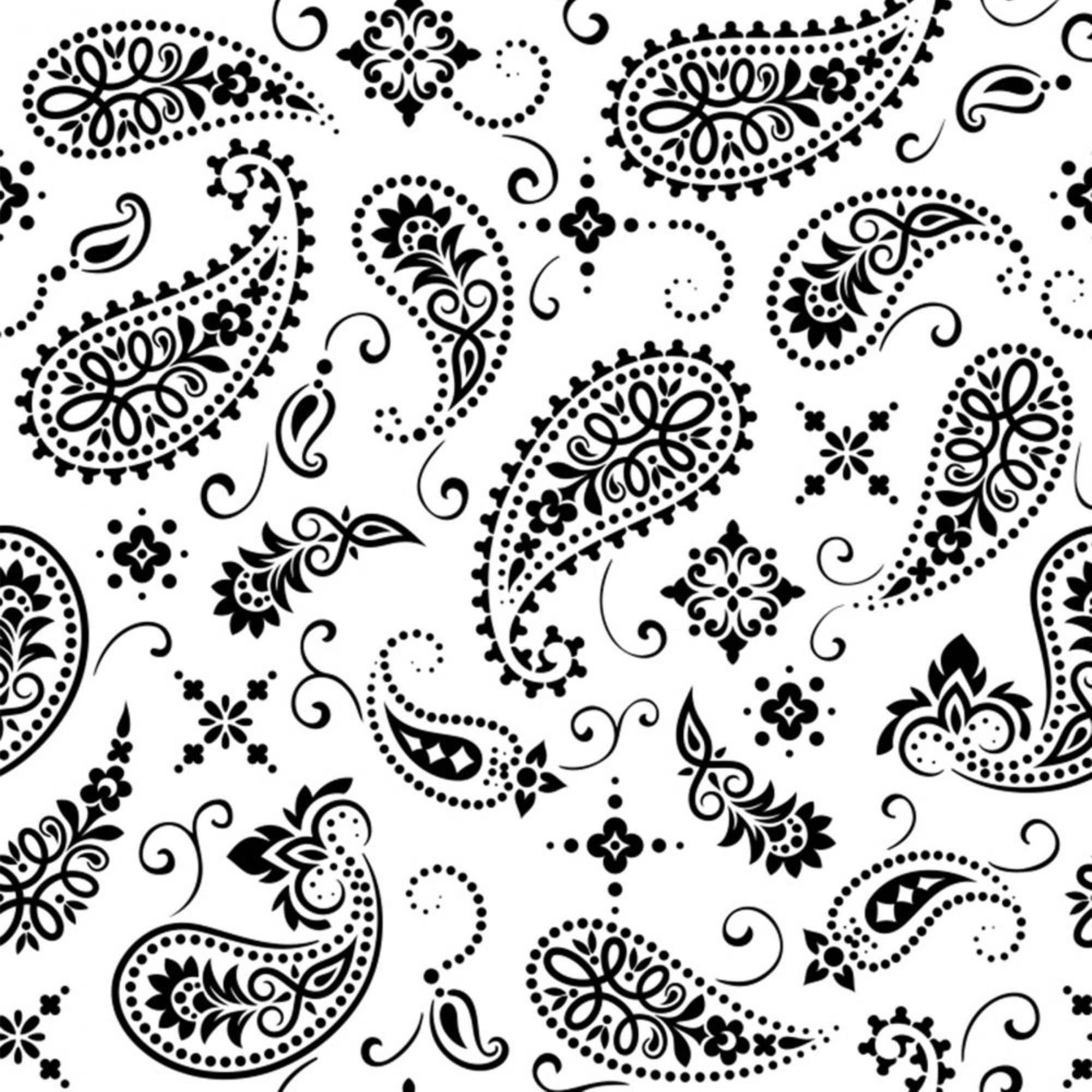 Black And White Paisley Design