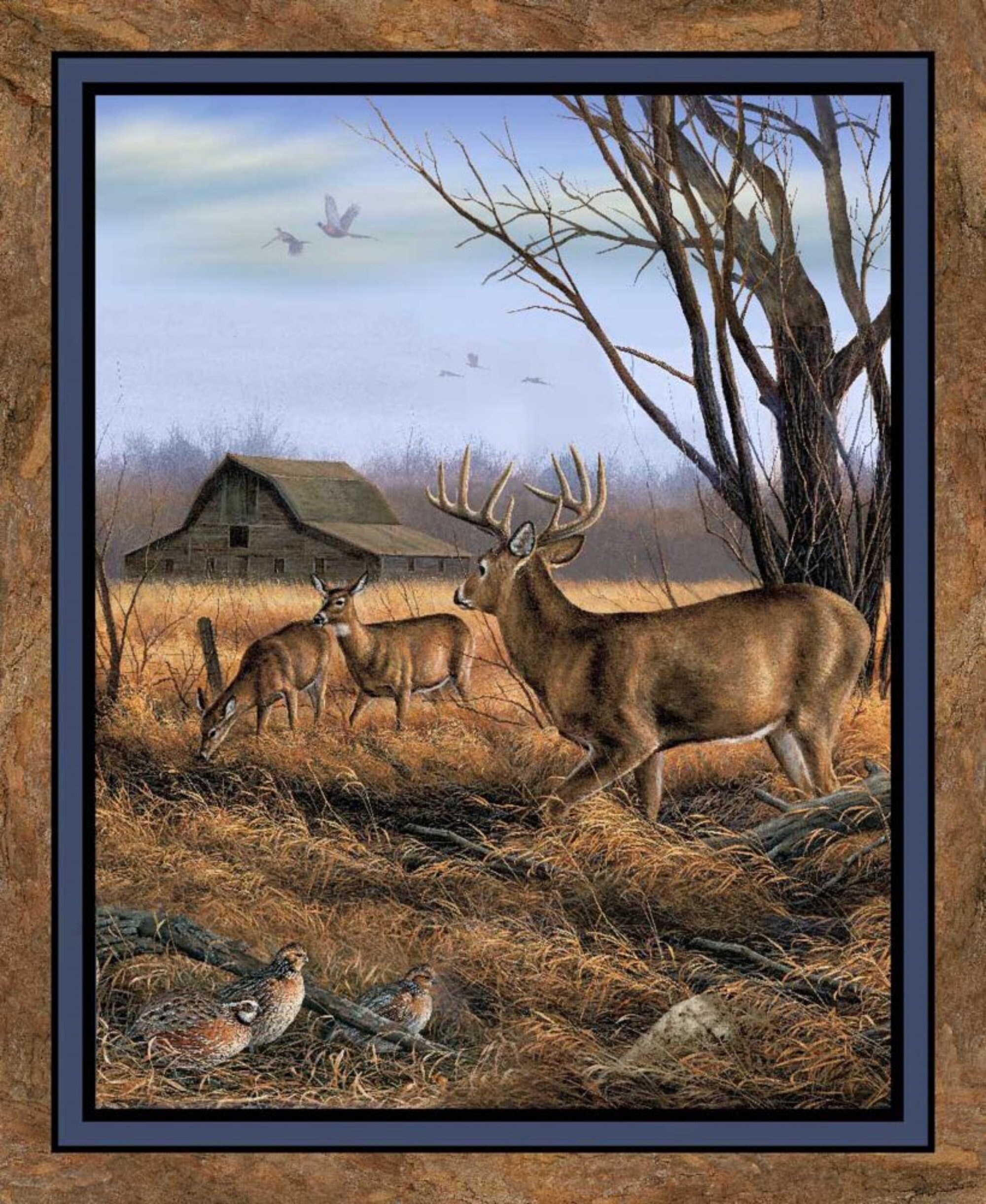 Meadow Music Elk Framed Canvas Art Print Wall Art - Wall Decor - Wild Wings