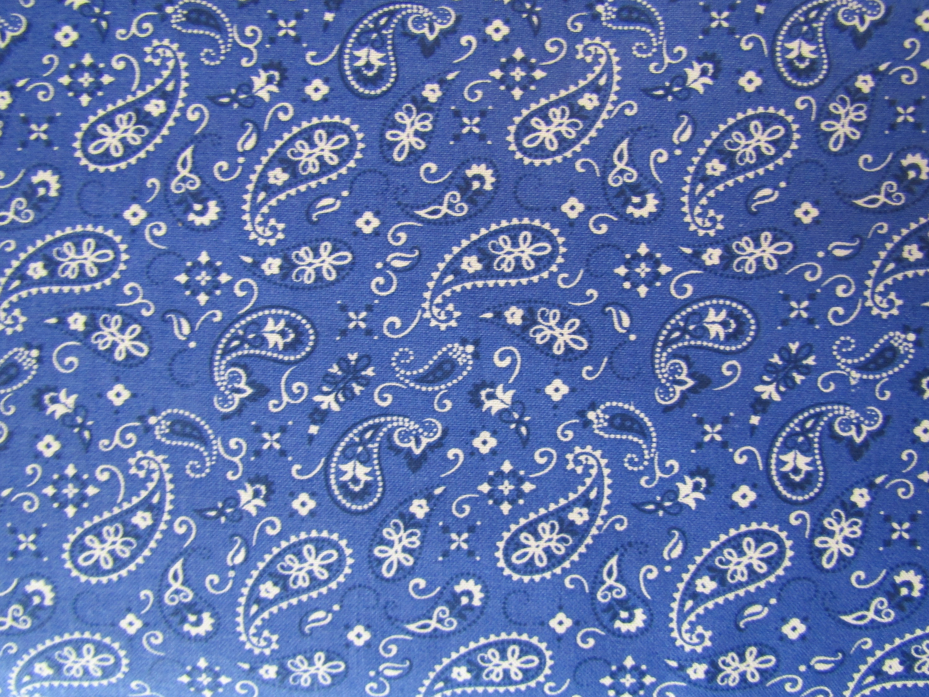 Dark Blue Paisley Bandana - wide 8