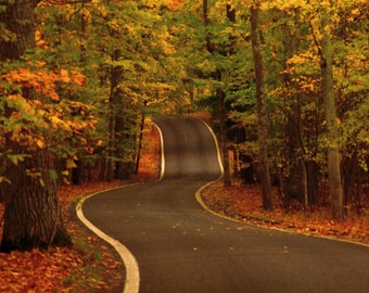 Tunnel der Bäume 3 DSC_2267, Herbstfarbe, Bäume, Winding Road, Michigan, Naturfoto, Landschaftsfoto