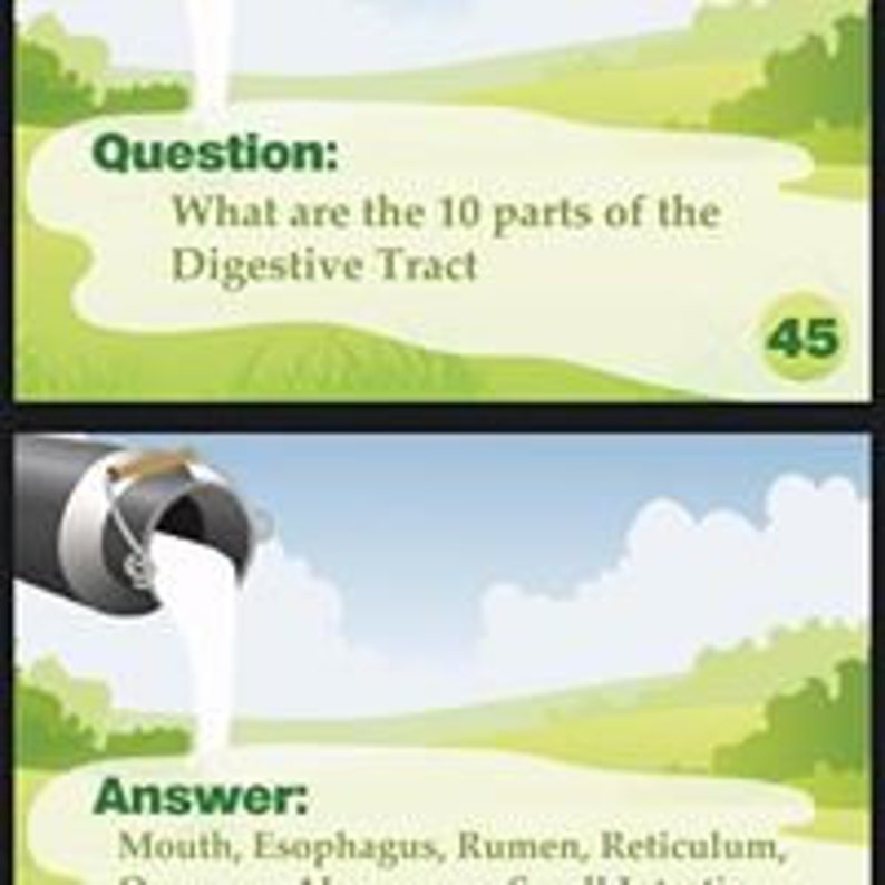 Dairy Goat Showmanship Flashcards Junior Etsy