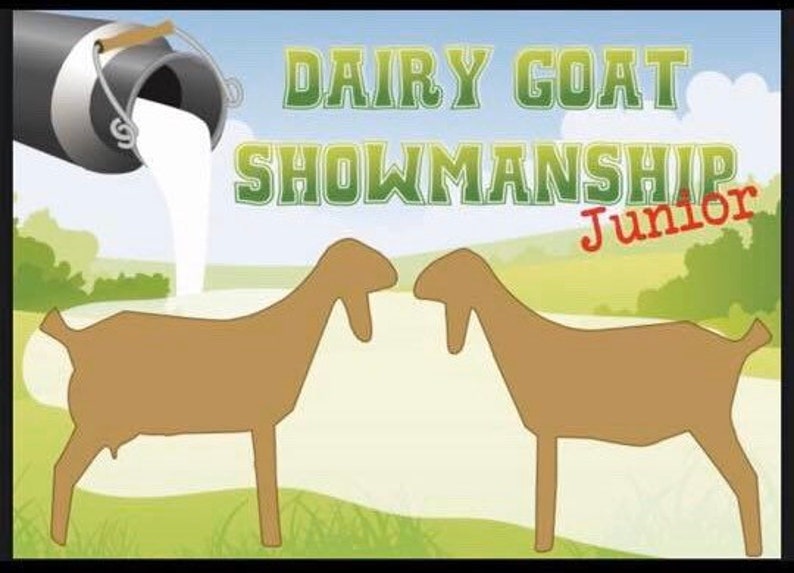 Dairy Goat Showmanship Flashcards Junior Etsy