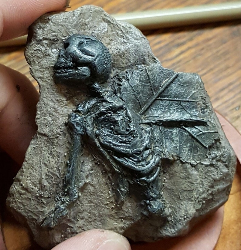 Fossilized Faerie Fairy Fossil Partial Specimen Etsy