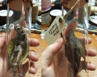 Gemummificeerde faerie-exemplaar (fee skelet dode fee) curiosa kast eigenaardigheid halloween decor best verkochte items