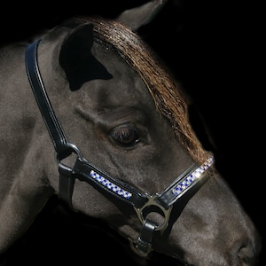 Miniature Horse Crystal Halter choice of colours..Mini Show Halter