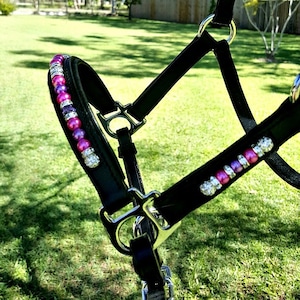 Miniature Horse Beaded Leather Halter..Mini Show Halter
