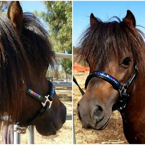 Mini Horse/Pony Rainbow Beaded Leather Halter..Mini Show Halter, Mini tack