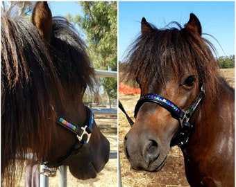 Mini Horse/Pony Rainbow Beaded Leather Halter..Mini Show Halter, Mini tack