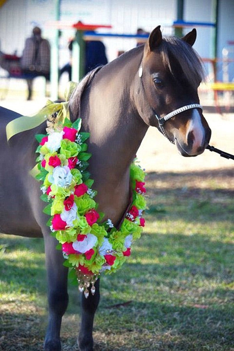 Super Bling Clear Crystal Miniature Horse Cable Show Halter Etsy