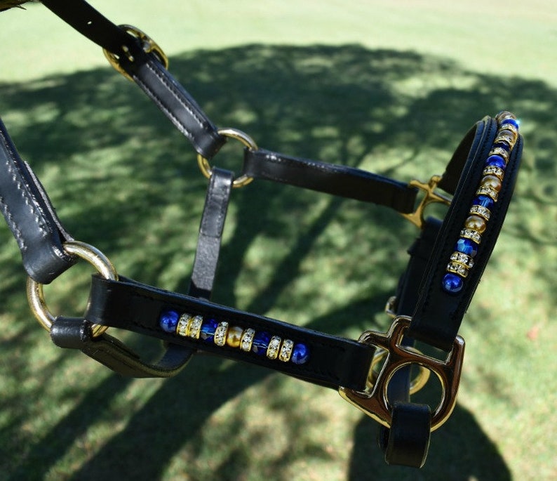 Miniature Horse Beaded Leather Halter..Mini Show Halter Etsy
